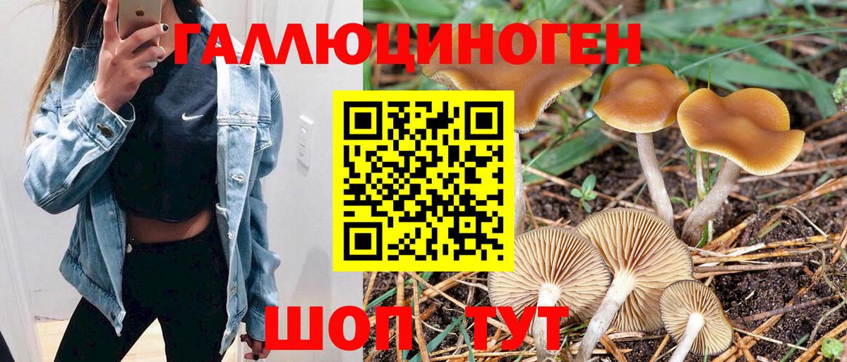 Славгород  Псилоцибиновые грибы MAGIC MUSHROOMS  Вход с VPN  Галлюциногенные грибы Psilocybine cubensis 