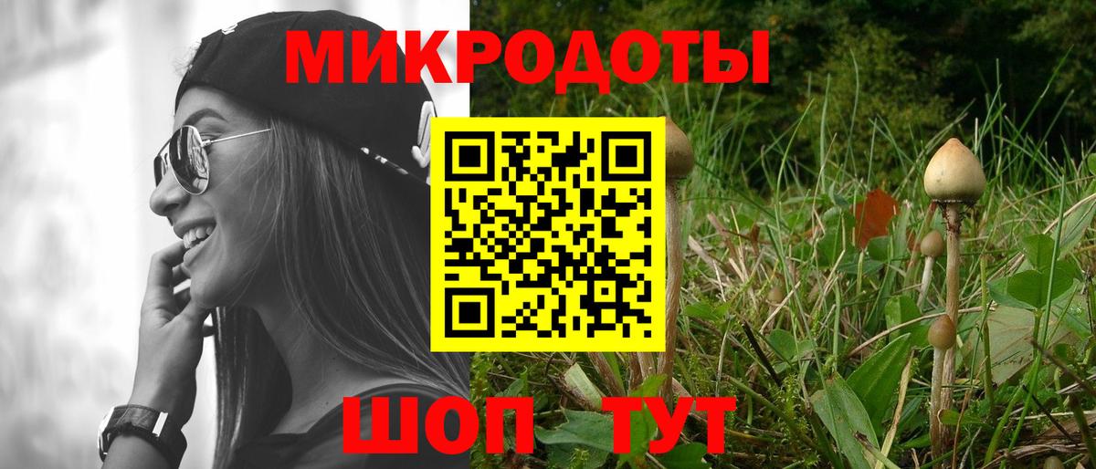Псилоцибиновые грибы MAGIC MUSHROOMS Славгород