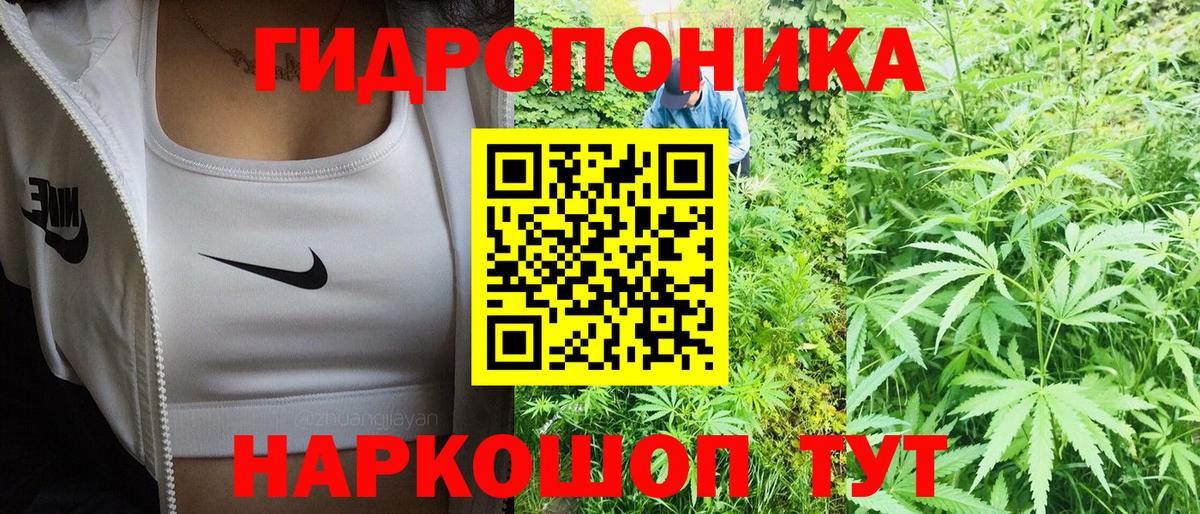 МАРИХУАНА план Славгород